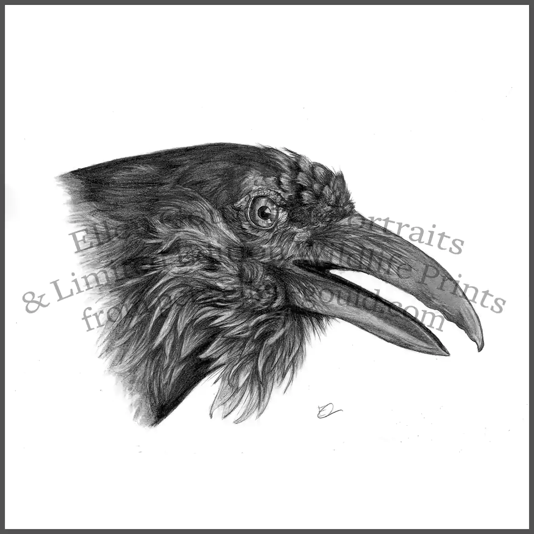 Raven print